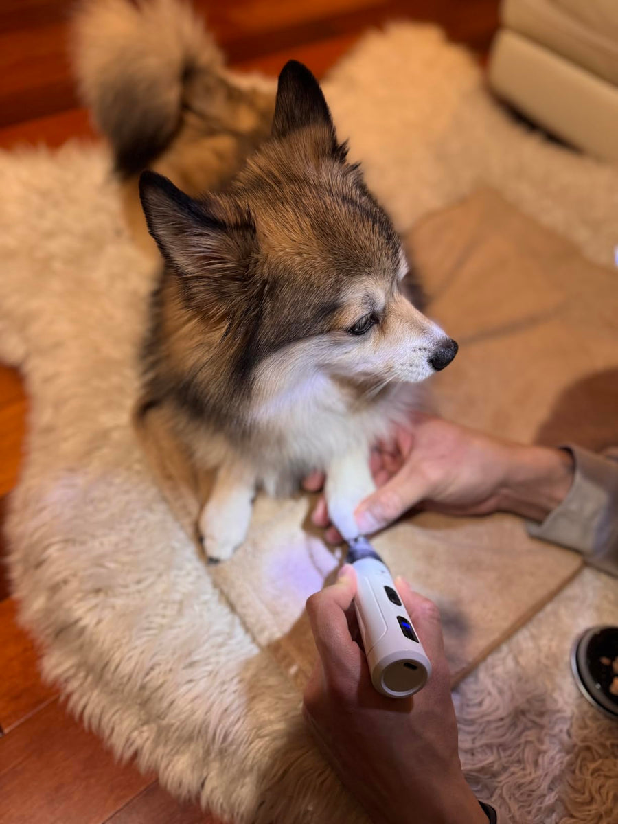 Brian & Megan D
